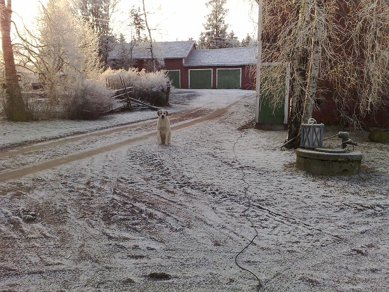 05012009346.jpg