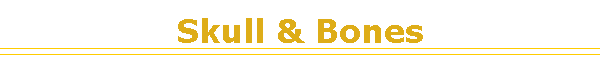 Skull & Bones
