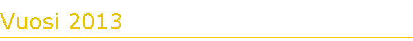 Vuosi 2013
