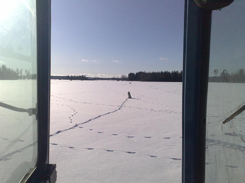 28022009518.jpg