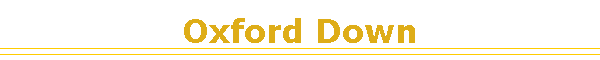Oxford Down